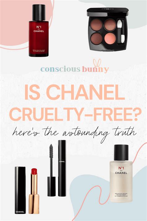 is chanel makeup cruelty free|chanel perfume animal testing.